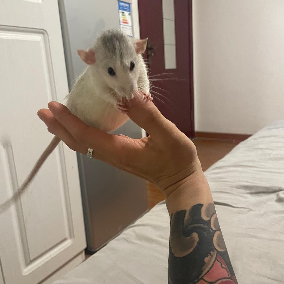 最后