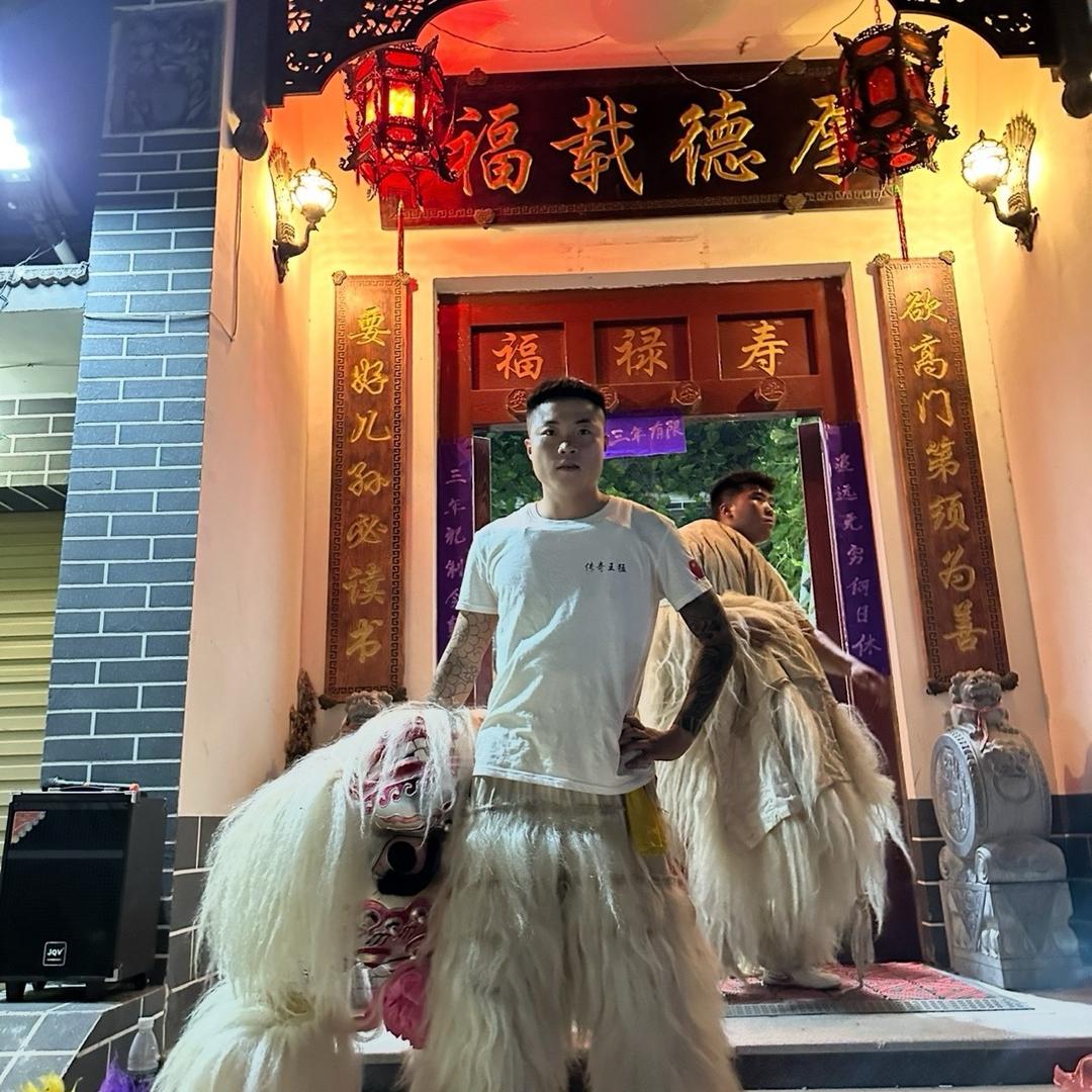 河南小白狮(狮头)帅龙