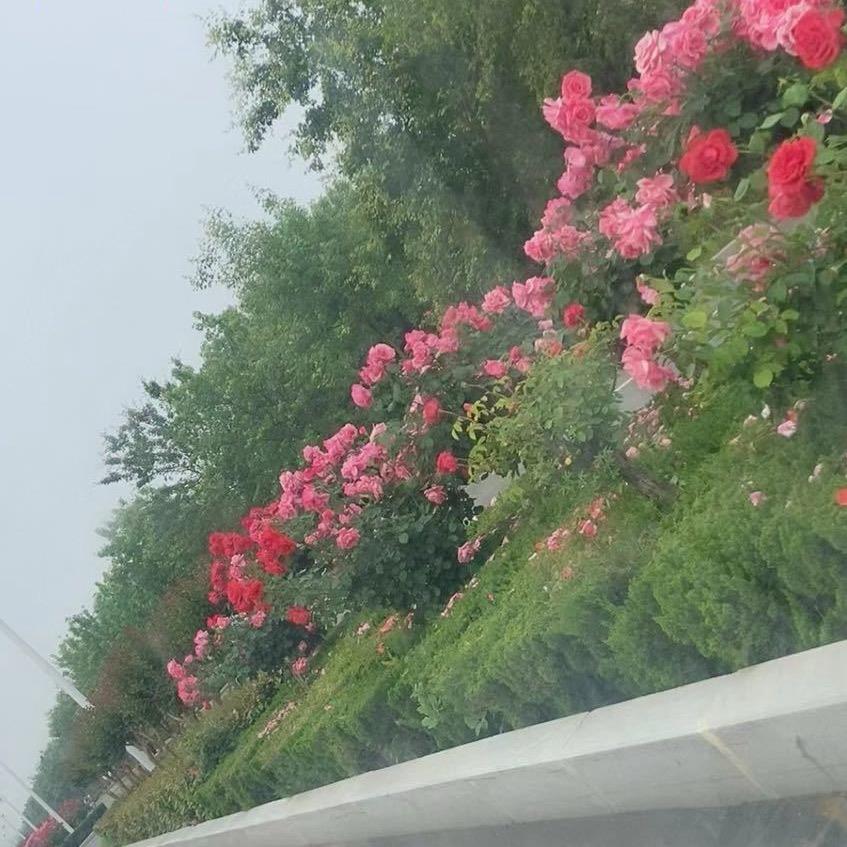 🥰家有仨萌宝🥰