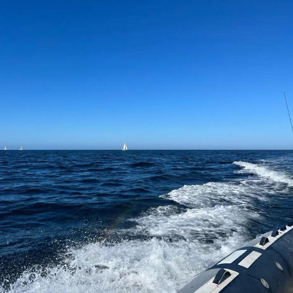 草莓熊闪击直布罗陀