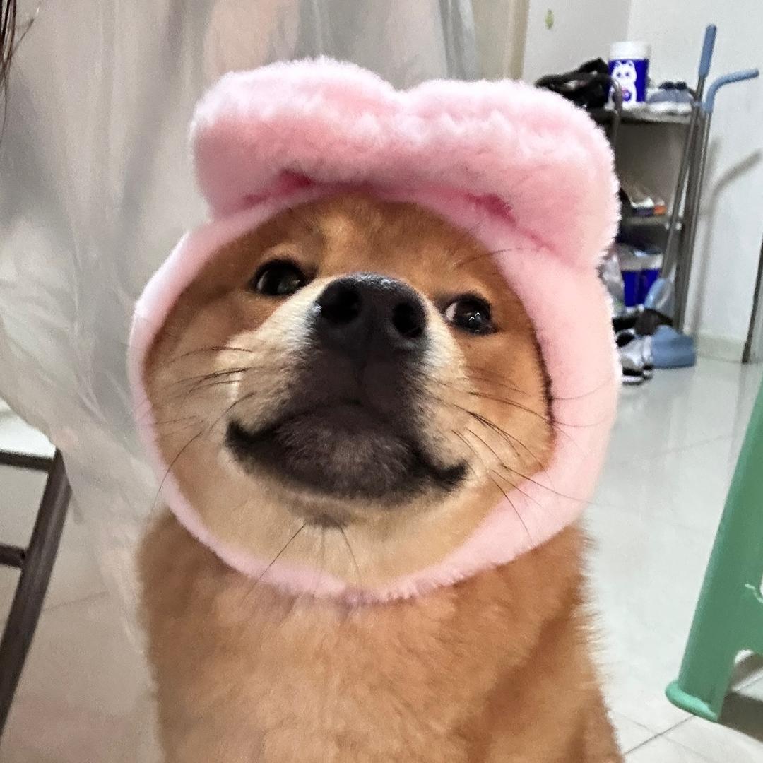 ·小如