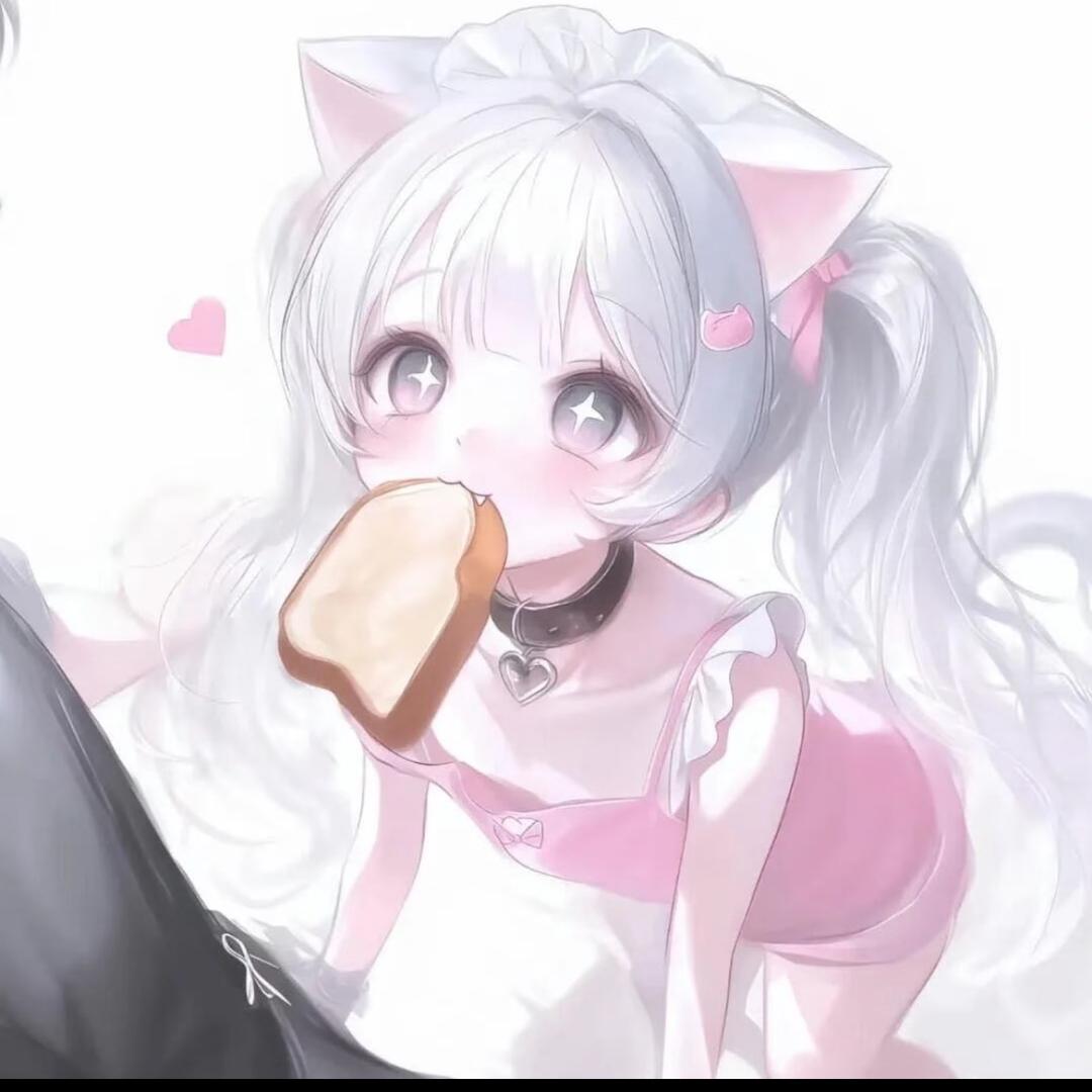 貓