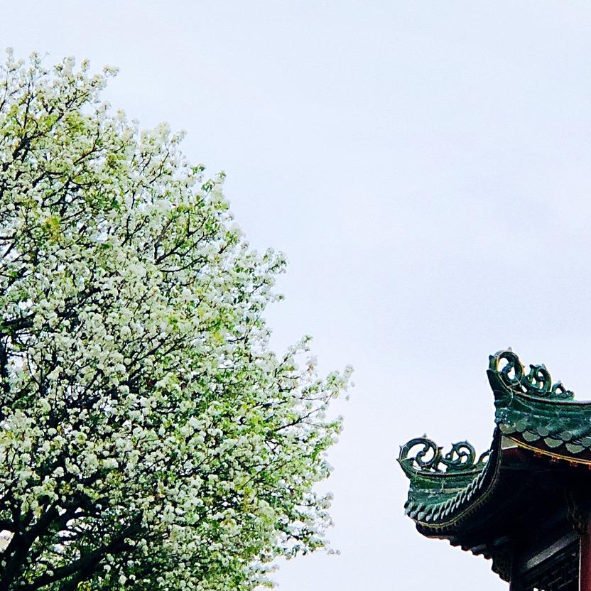 谢小窝