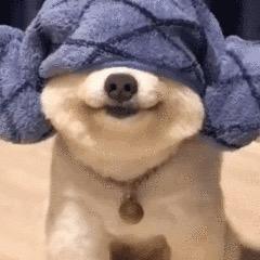 小趣租科技
