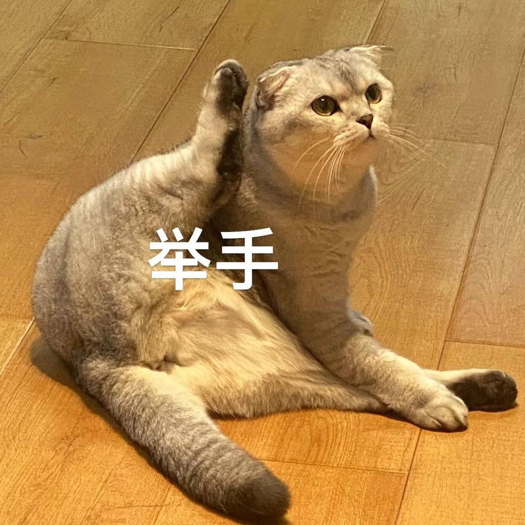 冰清玉洁临江仙