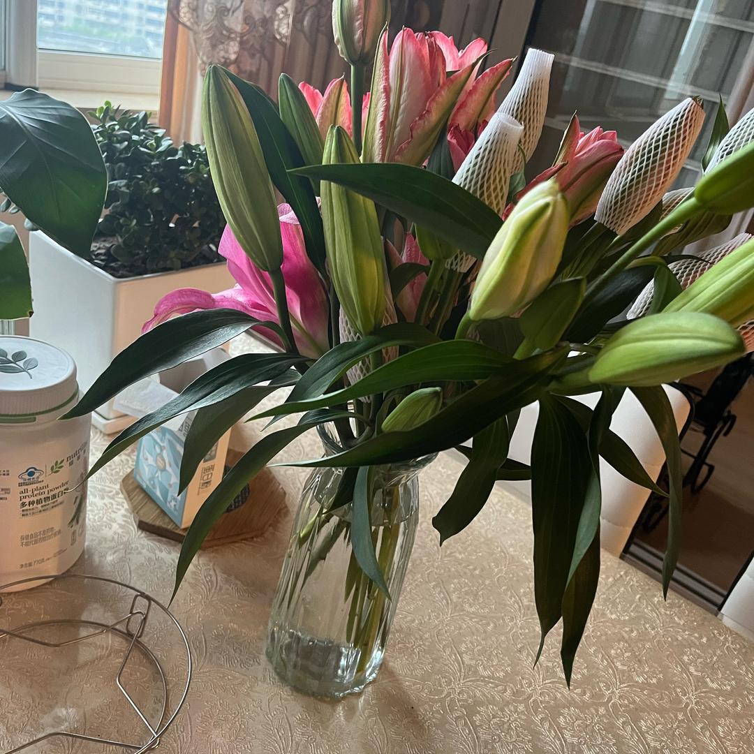 一叶知秋=͟͟͞͞ʕ•̫͡•ʔ