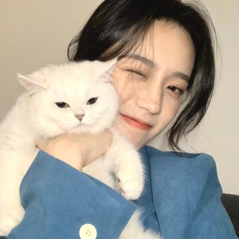 小羊🐑不太笨