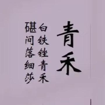 青禾静思