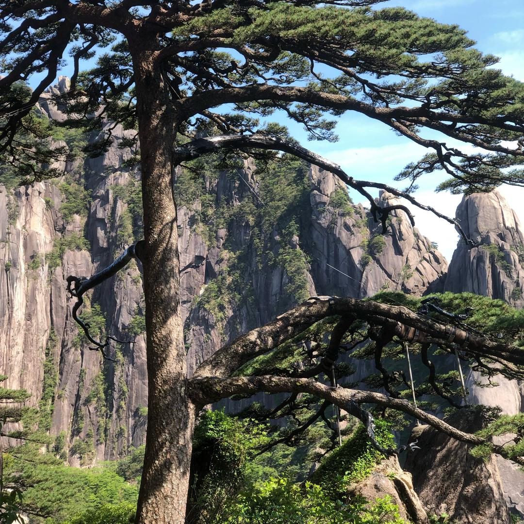 龙潭在线