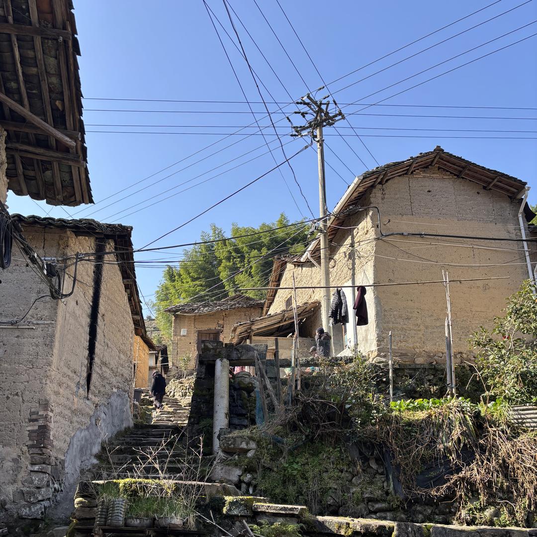 何力堂品驹店