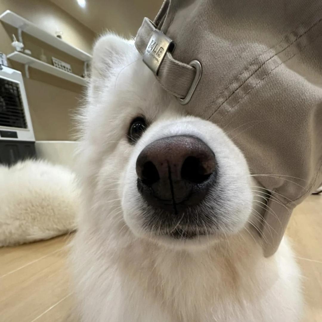 Yy