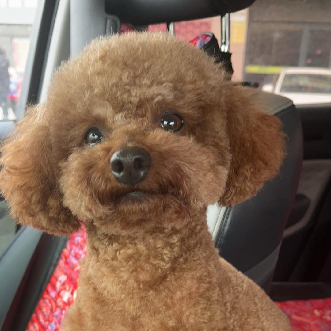 小名Lucky（幸运）