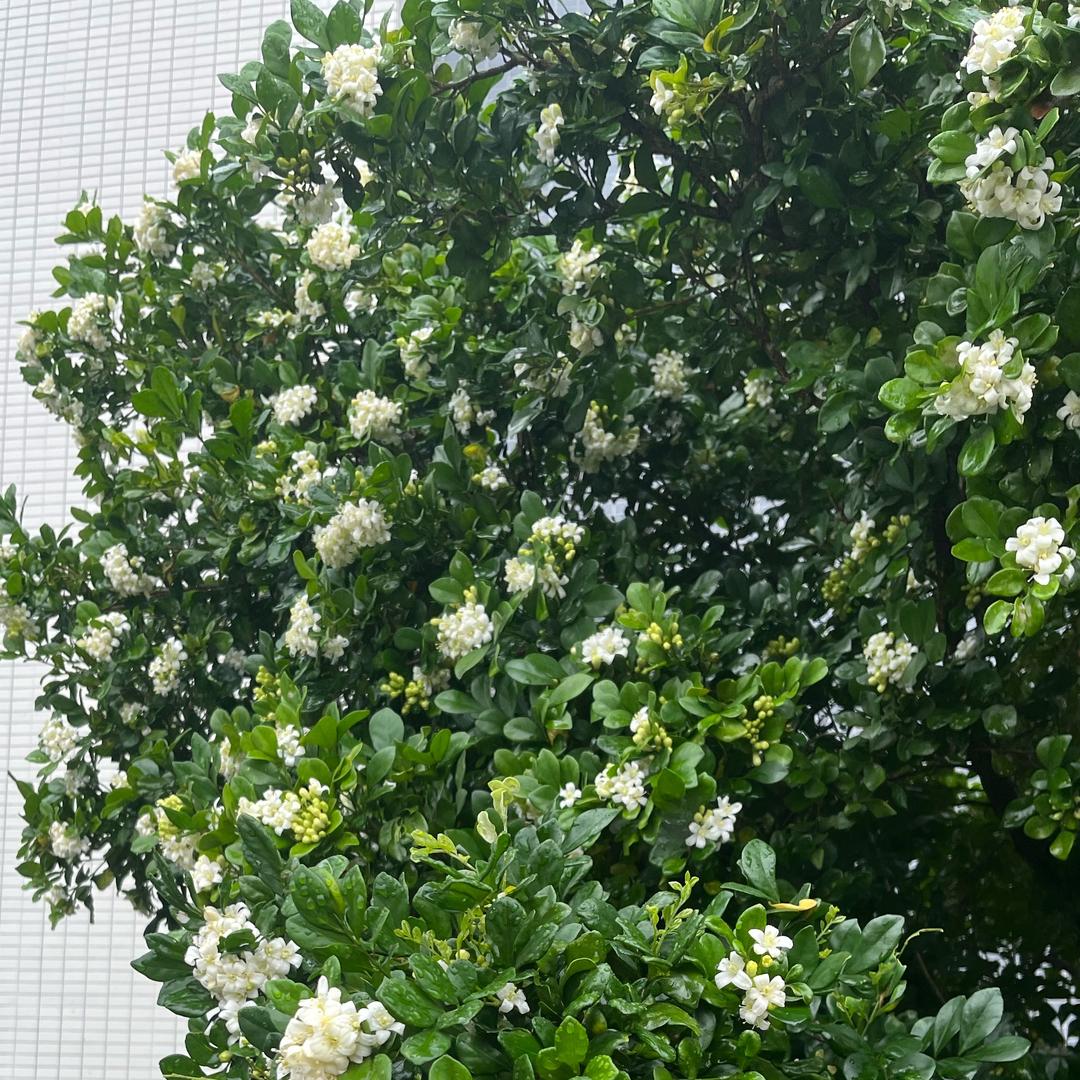 @忆诫