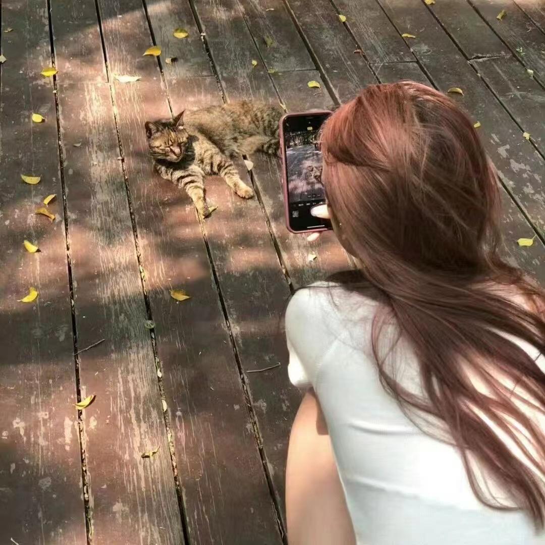@雁子