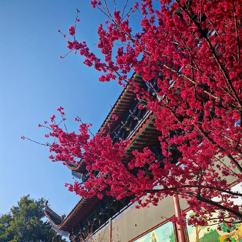 波仔