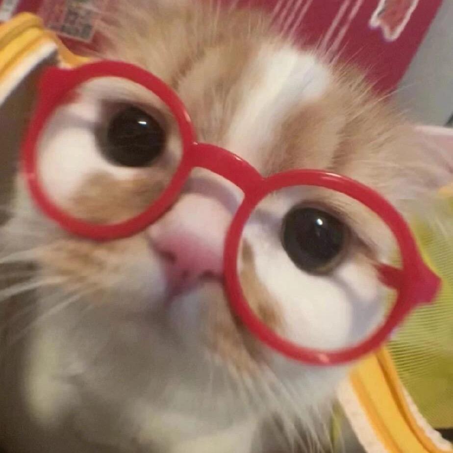 小洋子