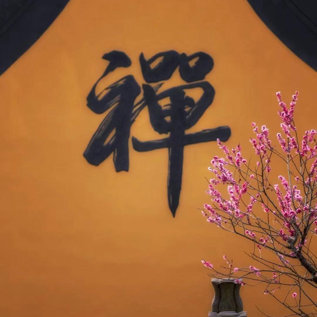 禅静