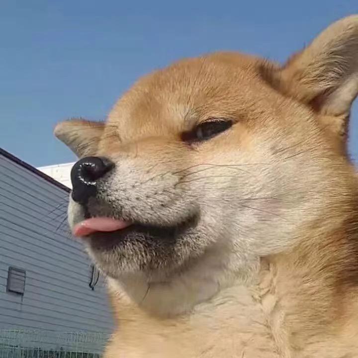靡靡