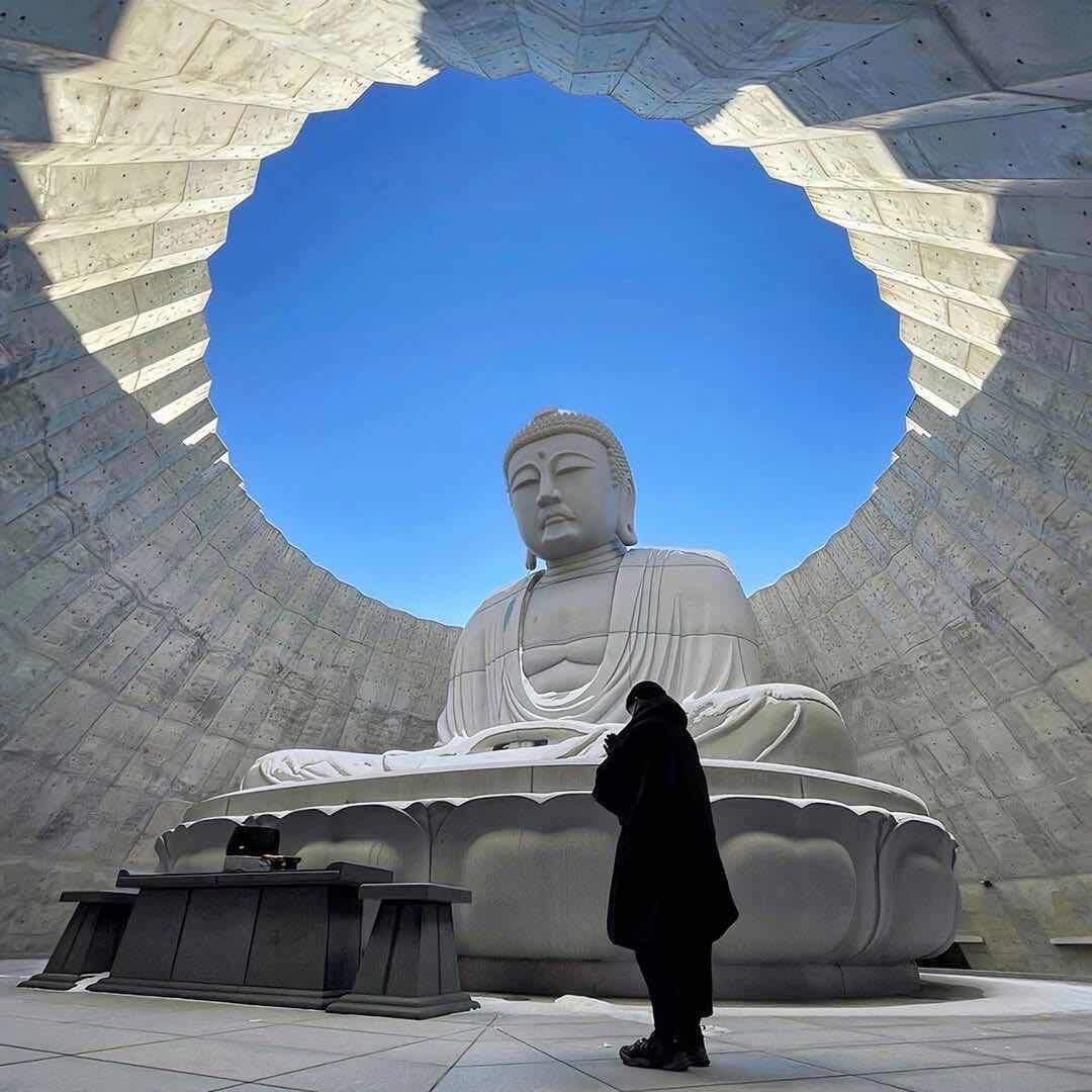 愈