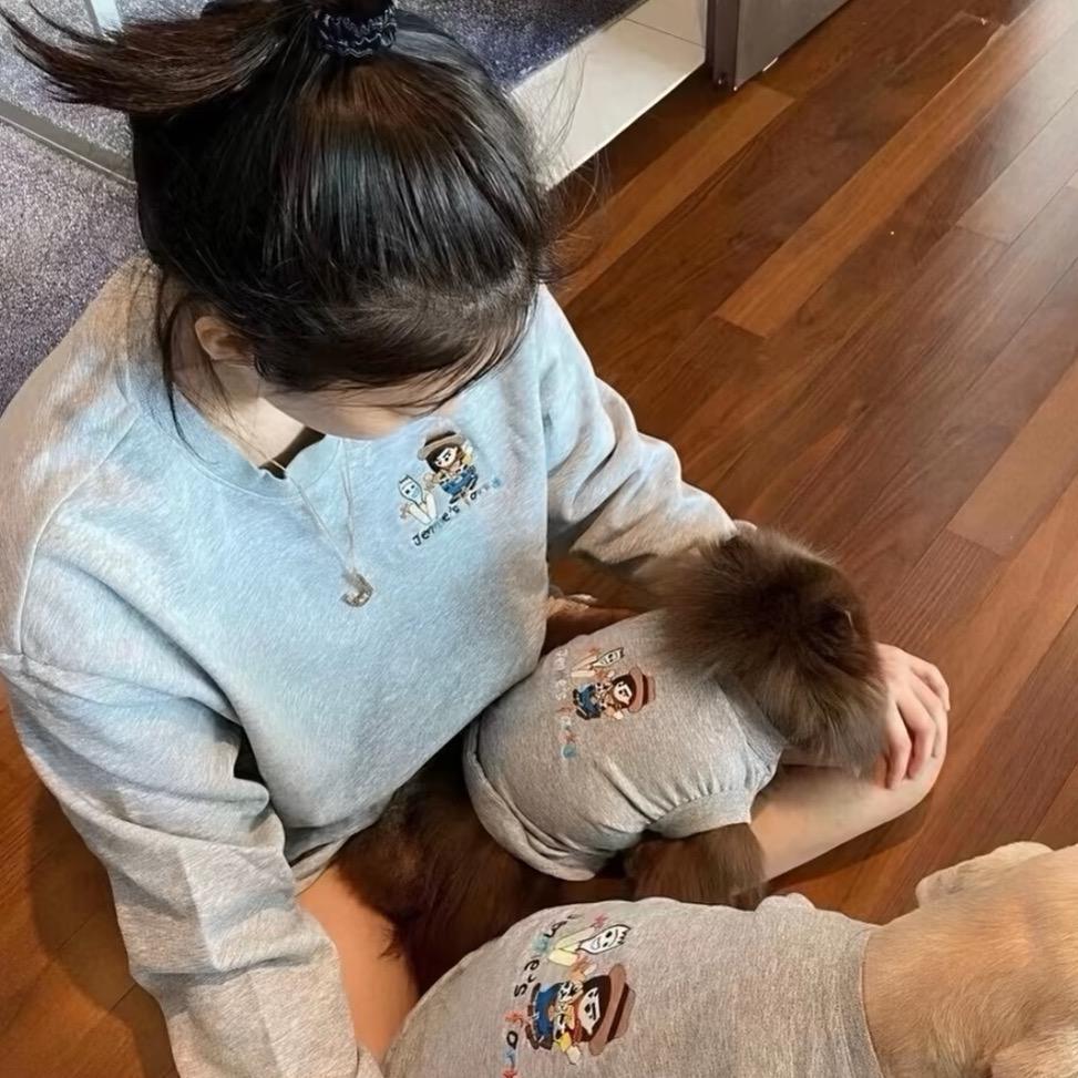 小狗很听话🦴