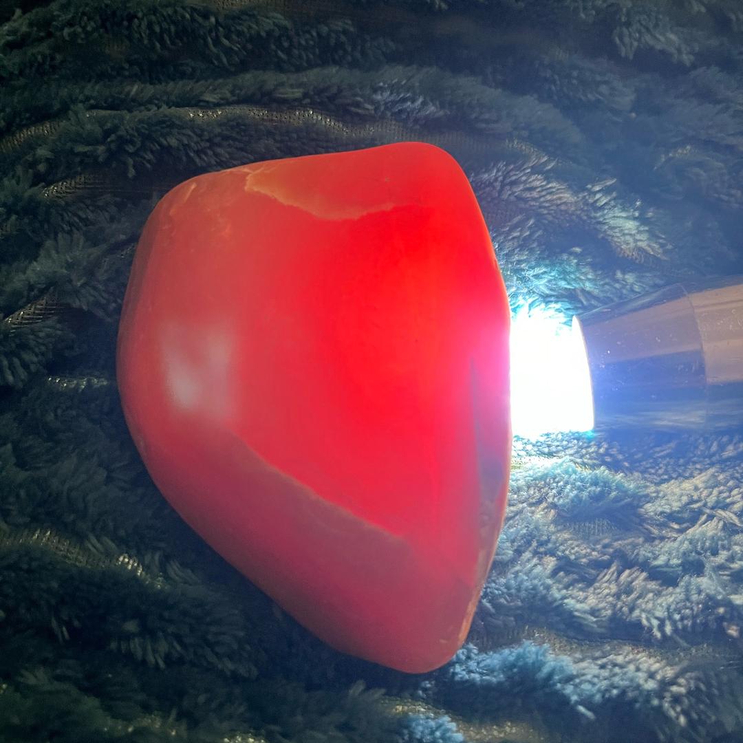 猕猴桃🥝🥝🥝