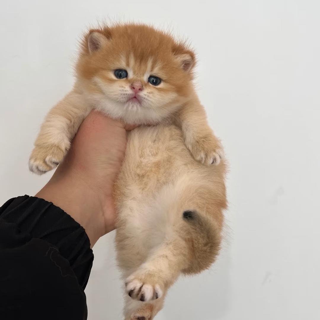 溪宝宝
