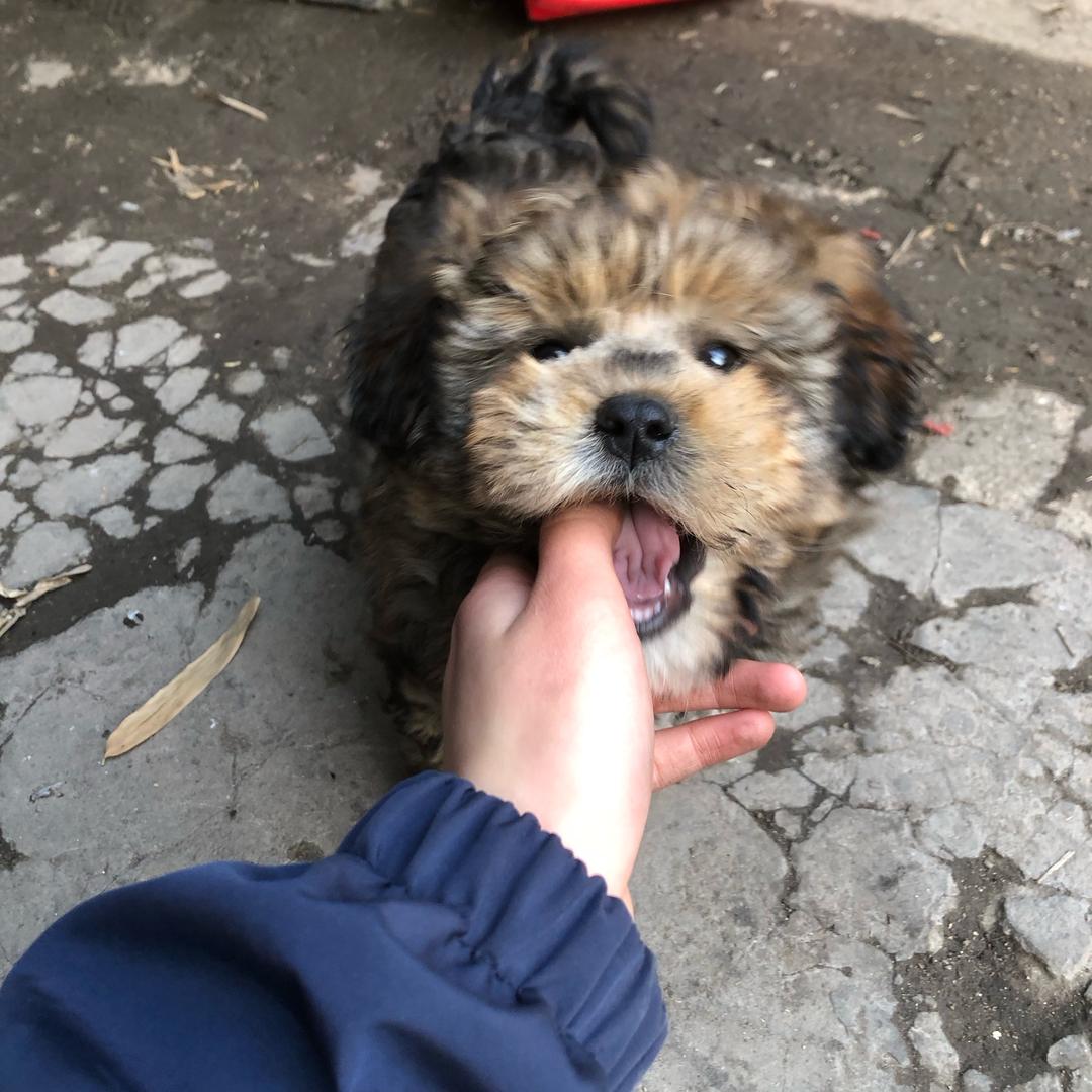 种地的仙女宁🐶