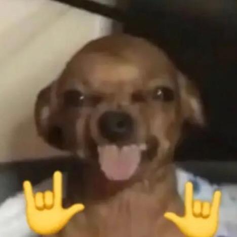 梁拌茄子别睡了