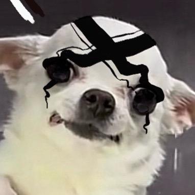 ZERO°C
