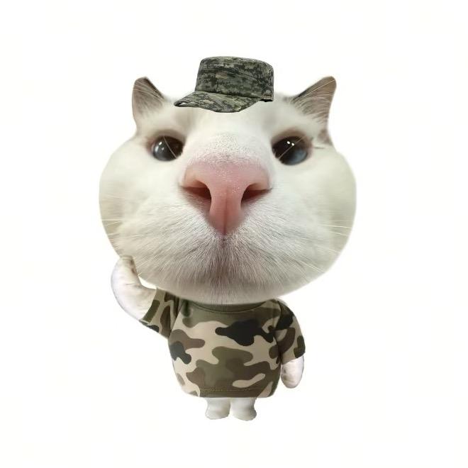 左耳-