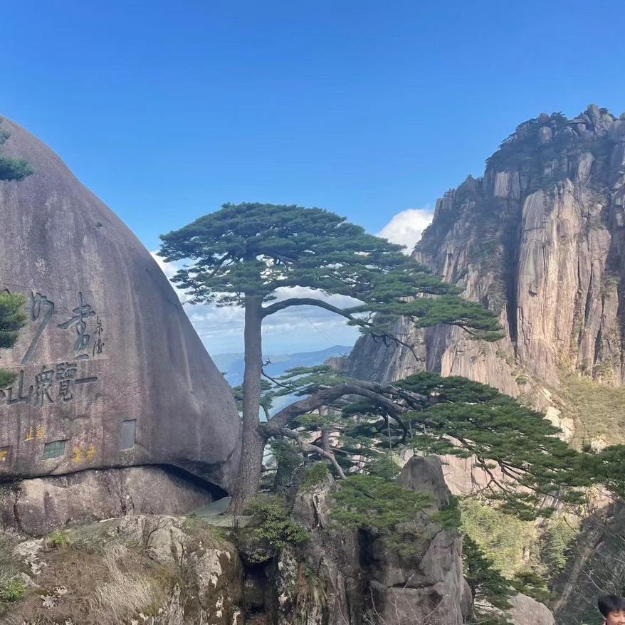 居然让我遇见你