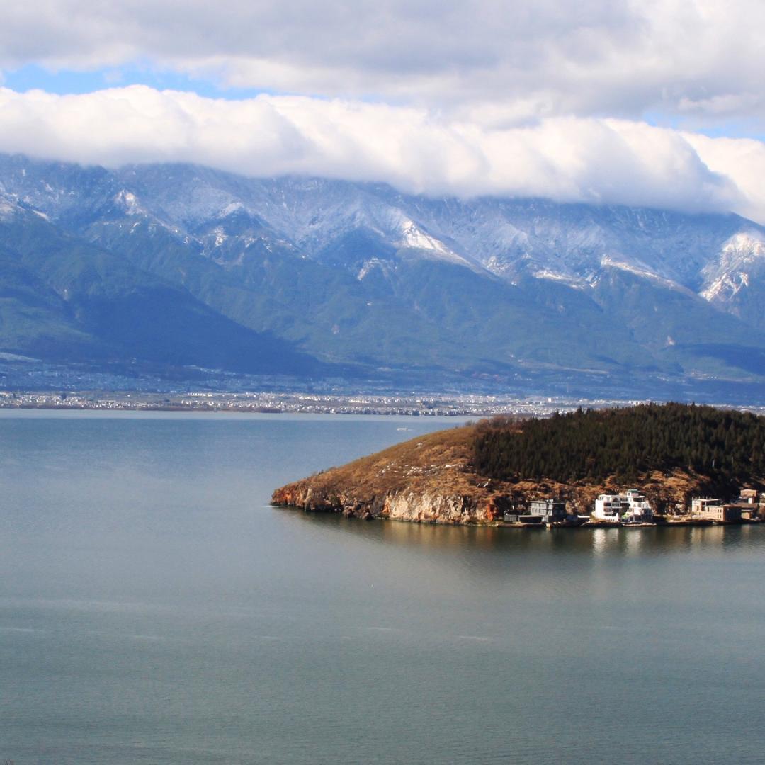 梦比生花（狗）