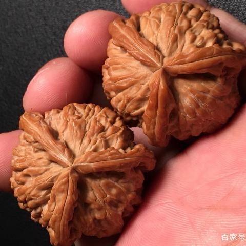 来哥文玩