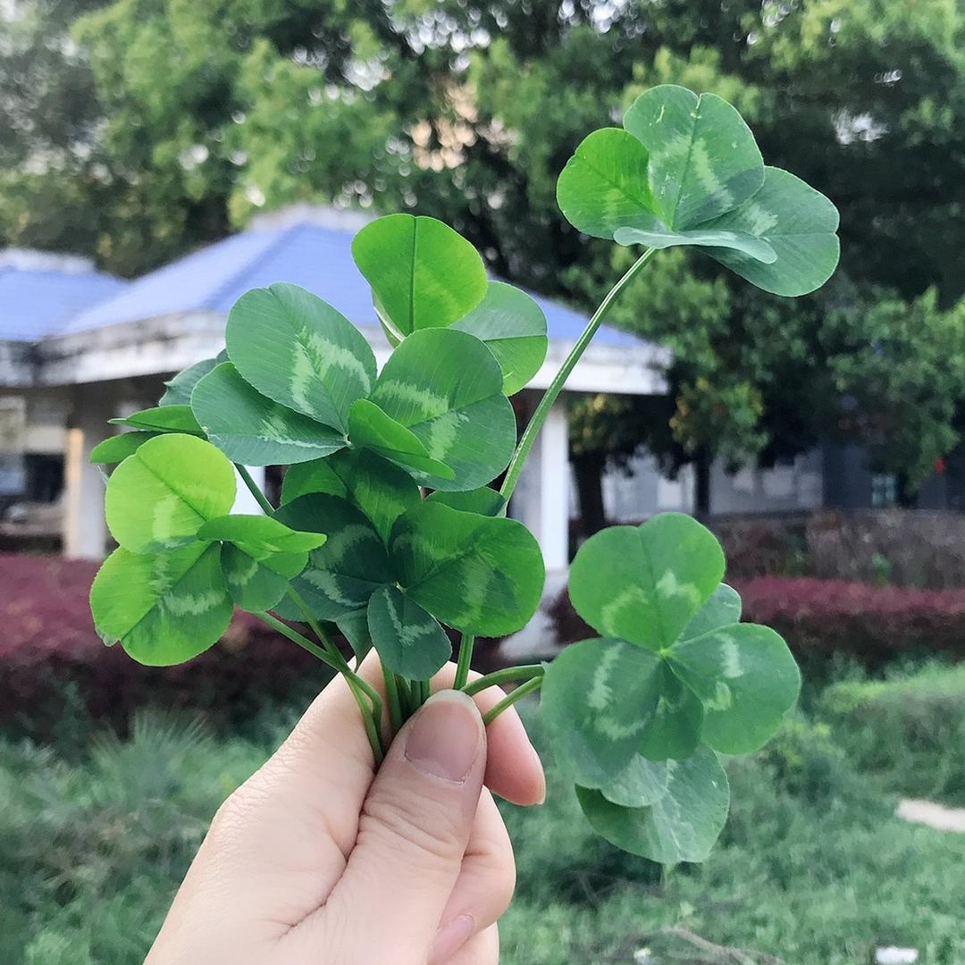 柒牌（应山东正街）