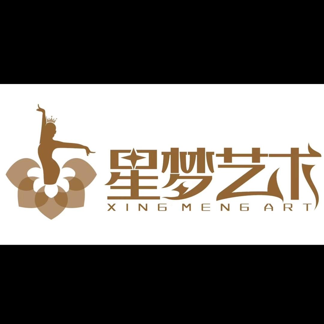 星梦艺术培训学校（十字街校区）