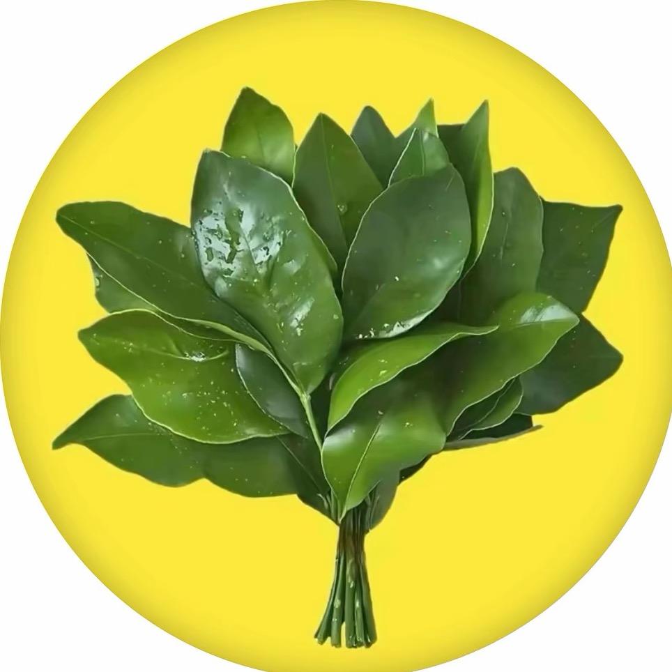 ꧔ꦿᩚ💕 洁ℒøṽℯ