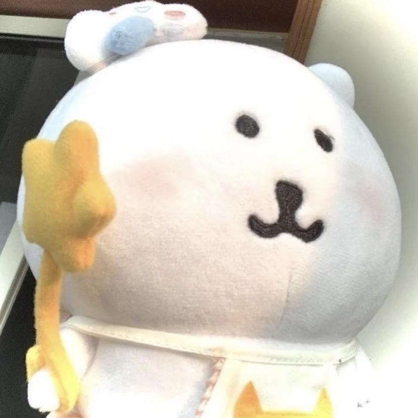 锦鱼年