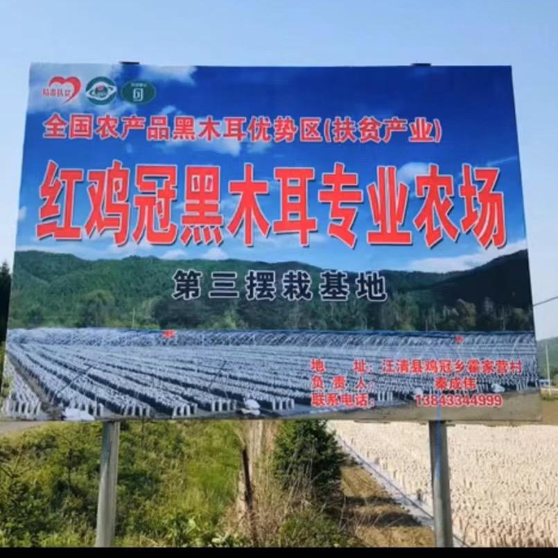两个孩儿他爹