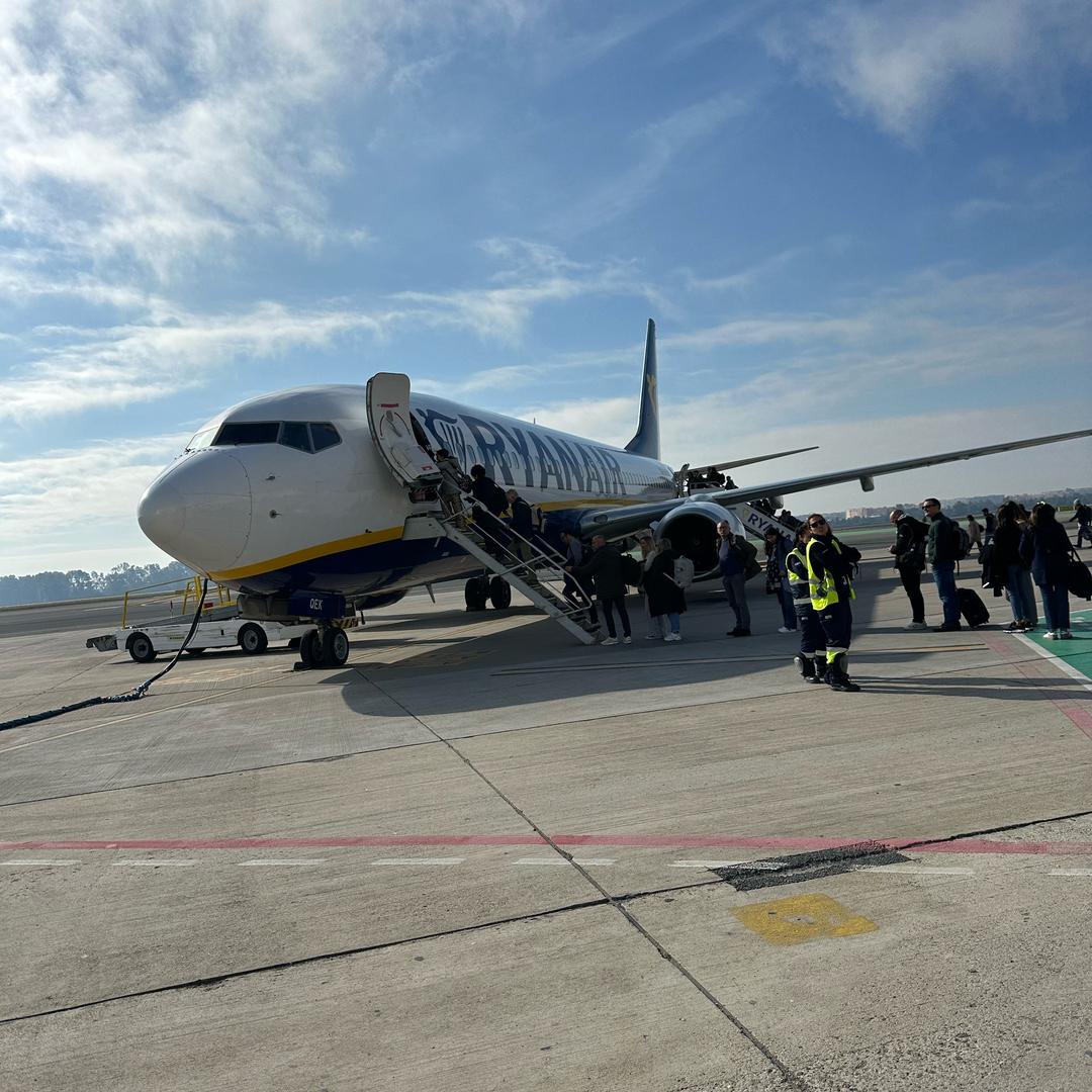 赵兄托您帮我办点事🦴