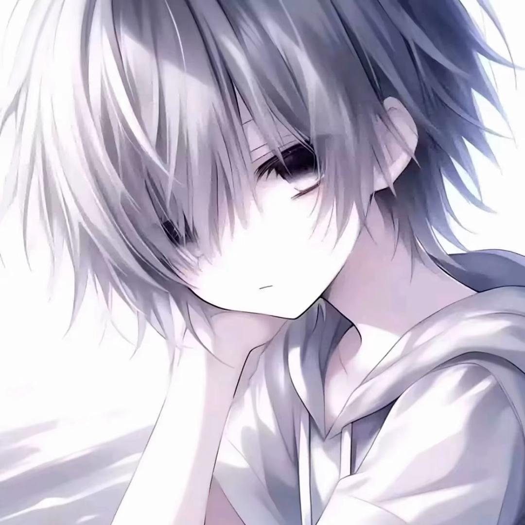 小鑫ovo