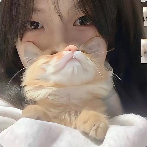 他的迪迪