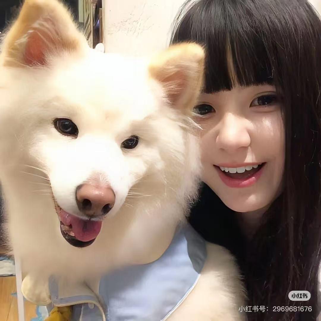 小可爱