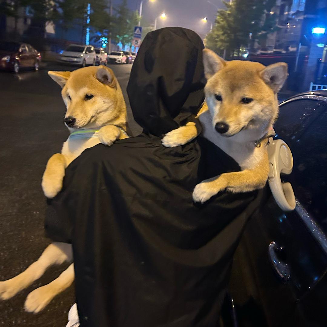 柴米油盐酱醋茶🍚