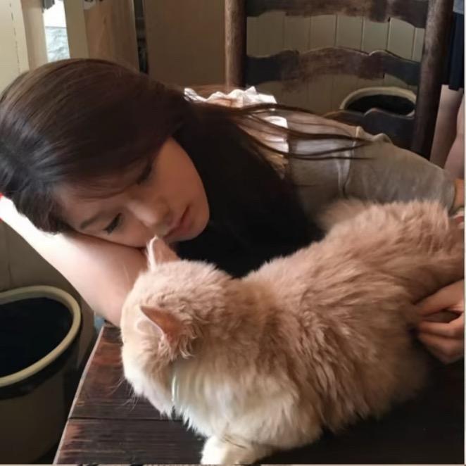 你得不到的女人