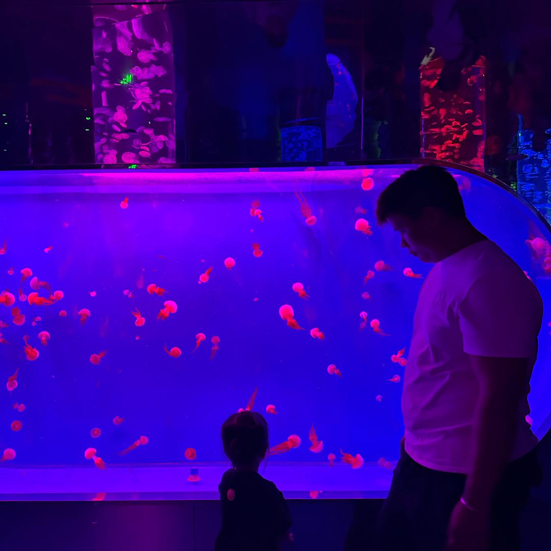 .張.（手工钩织接单中）