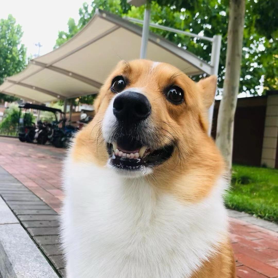 你不爱我·这是病•得治
