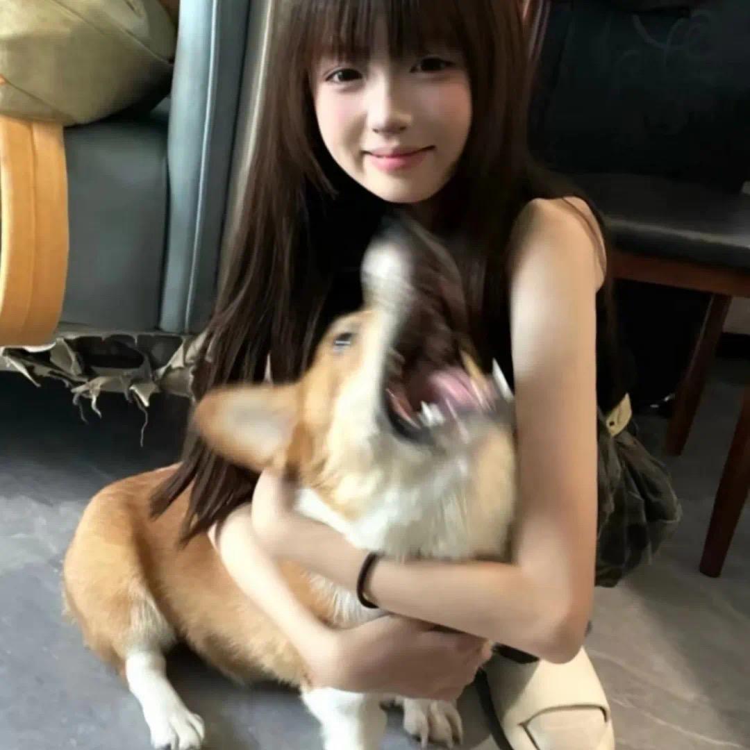 羊羊羊
