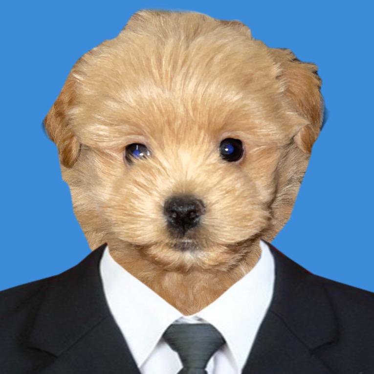 狗屎大葱葱葱葱葱葱葱