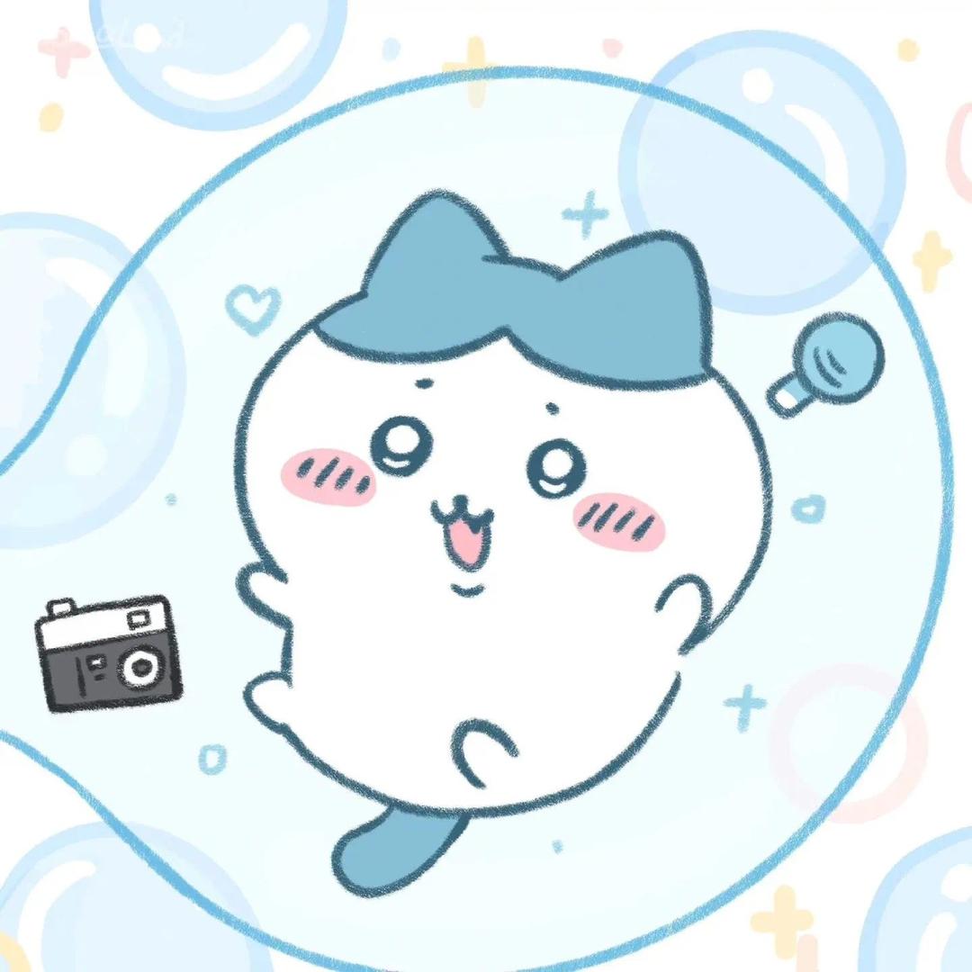 优雅的小八