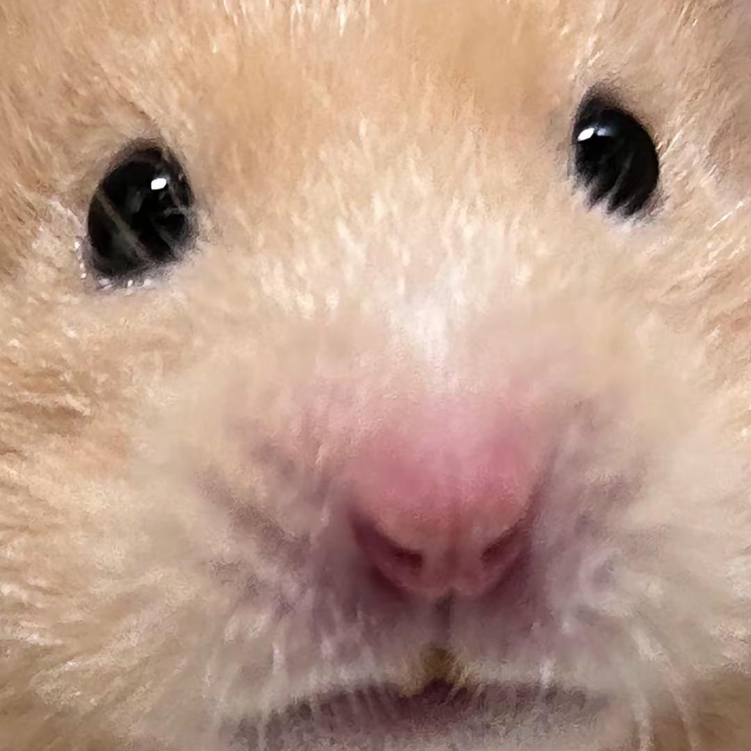 vftt
